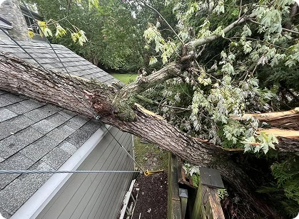 Emergency tree removal service by Woodchuck Lawn & Tree in Louisa, VA.