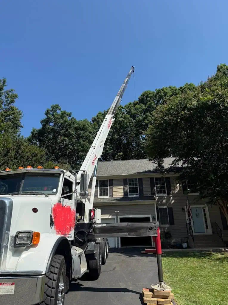 Crane-assisted tree removal service for large trees in Virginia communities.