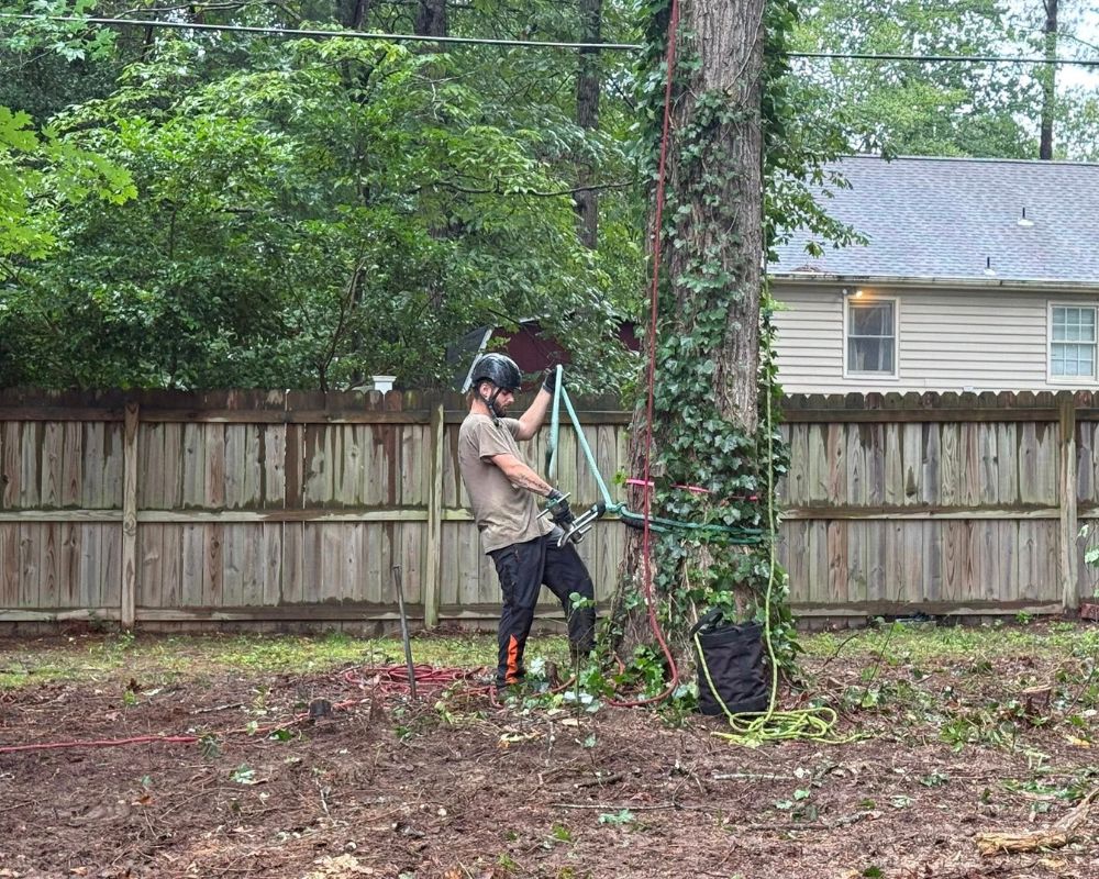 Expert tree removal using cranes for complex tree situations in Virginia.