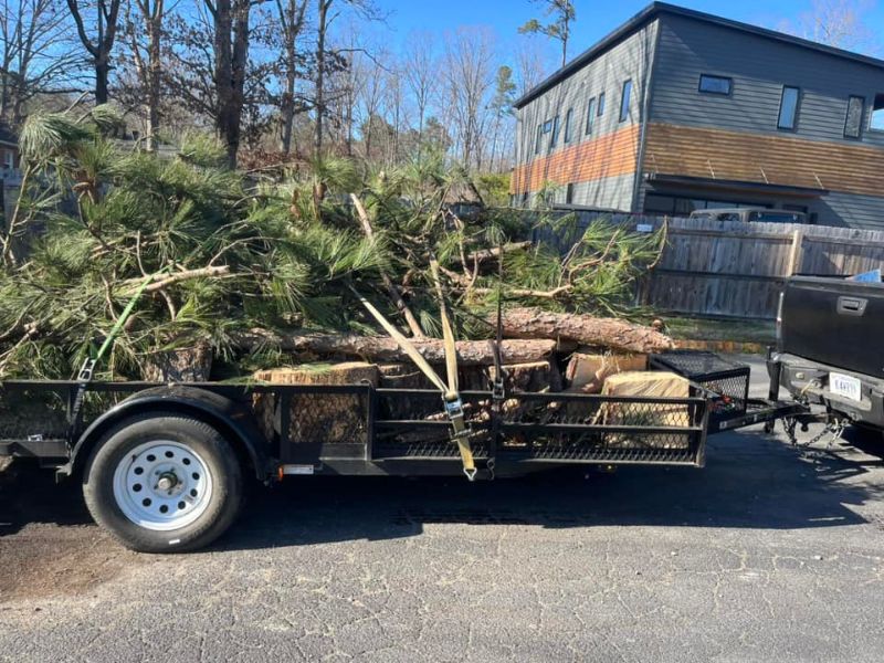 Tree trimming and pruning services performed in Louisa County by Woodchuck Lawn & Tree.