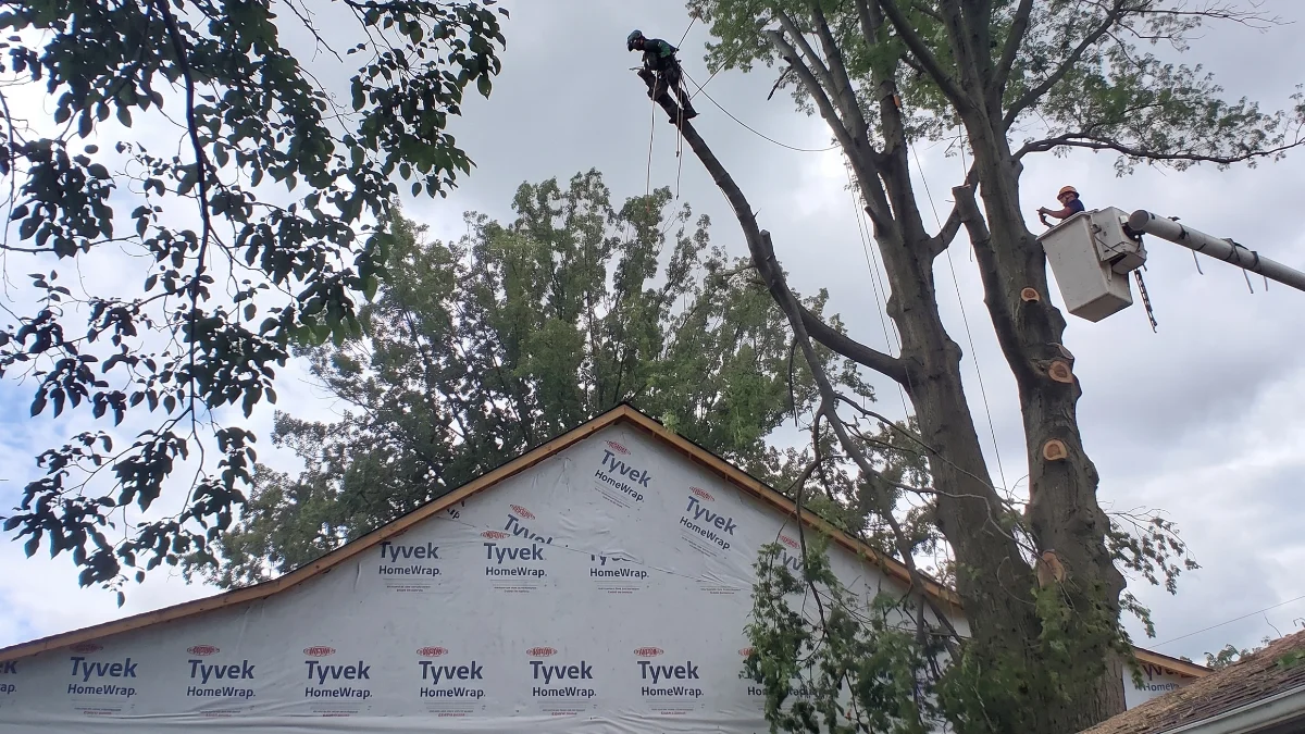 How to Protect Your Property from High Winds