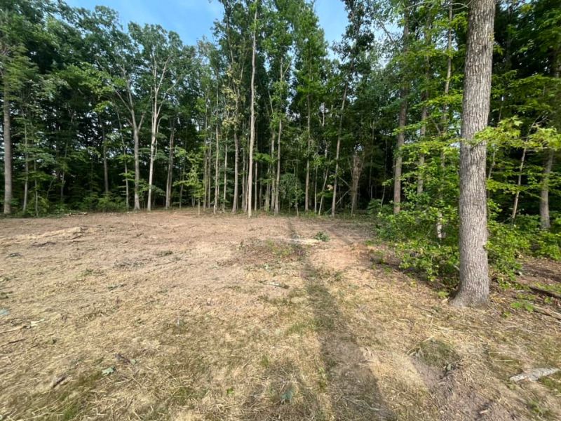 Professional lot clearing service preparing property for development in Hanover County.