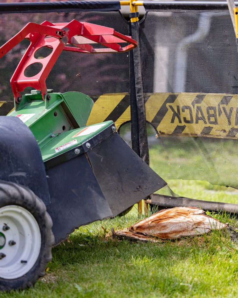 Professional stump grinding and removal services for clean, usable outdoor spaces.