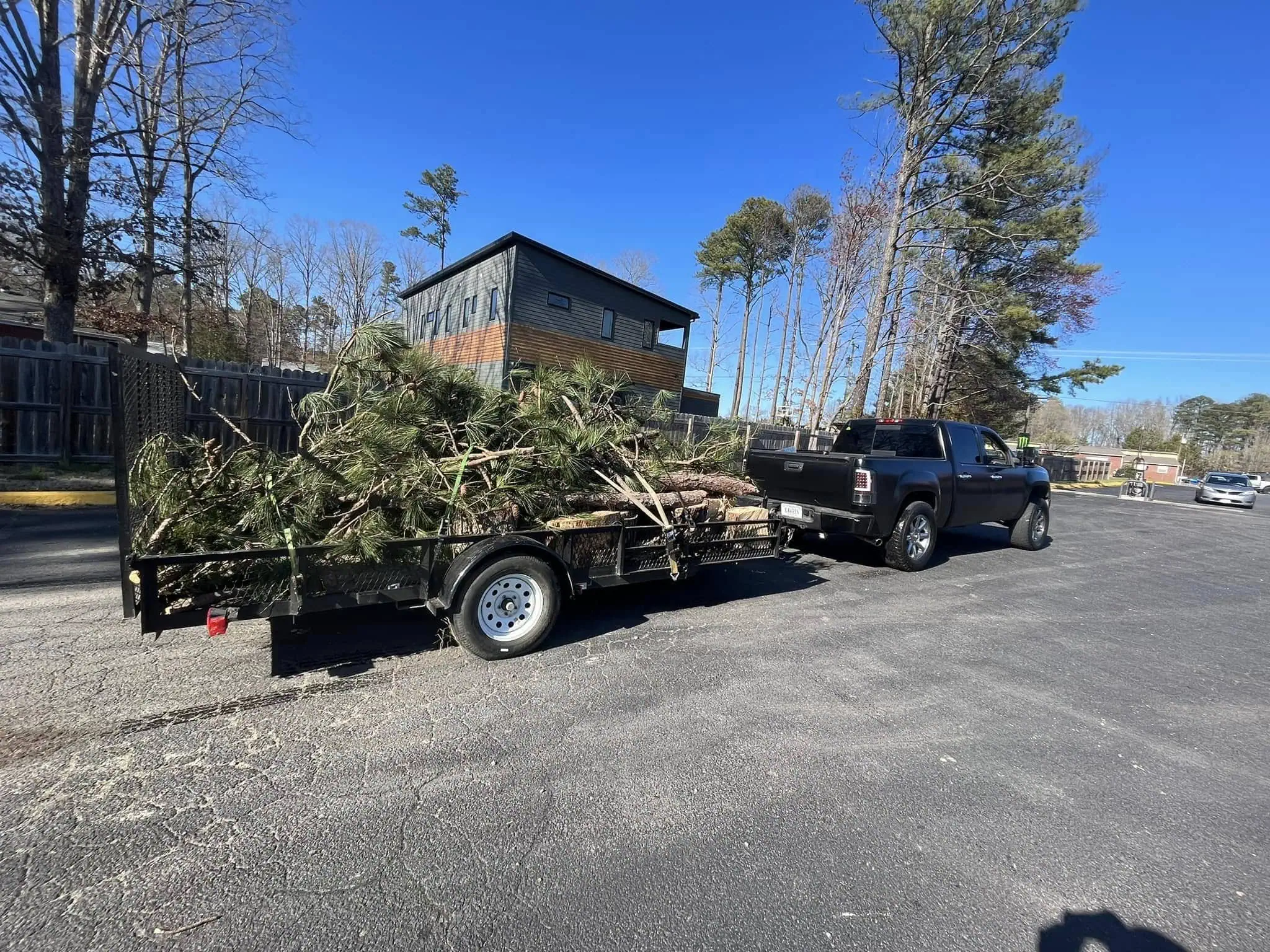 Tree Removal in Mineral, VA