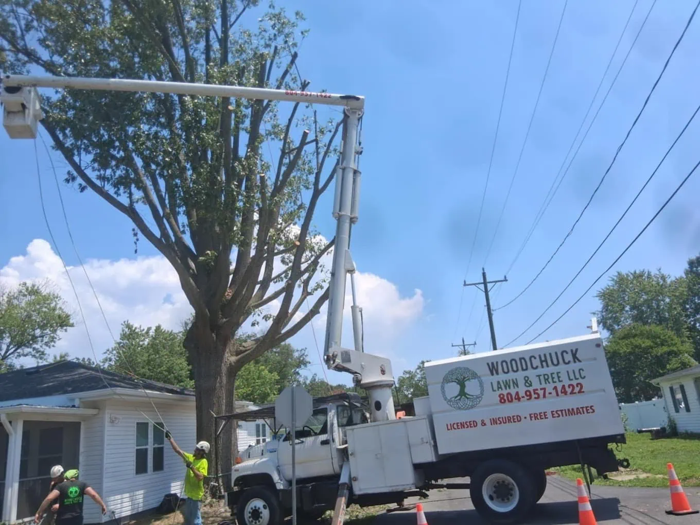 Woodchuck Lawn & Tree LLC showcasing professional tree care certifications and accountability.