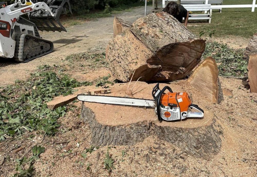 Woodchuck Lawn & Tree LLC logo representing stump grinding services.