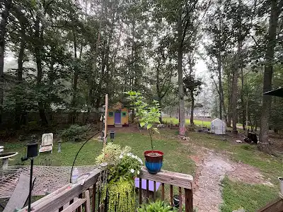 Expert Tree Trimming and Removal with Clear Communication and Property Protection in Virginia | Woodchuck Lawn and Tree LLC