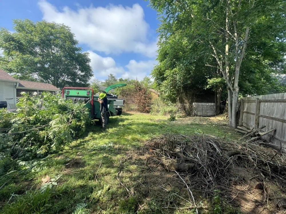 Professional tree removal service in Bumpass, VA with safe cleanup and repeat customer satisfaction