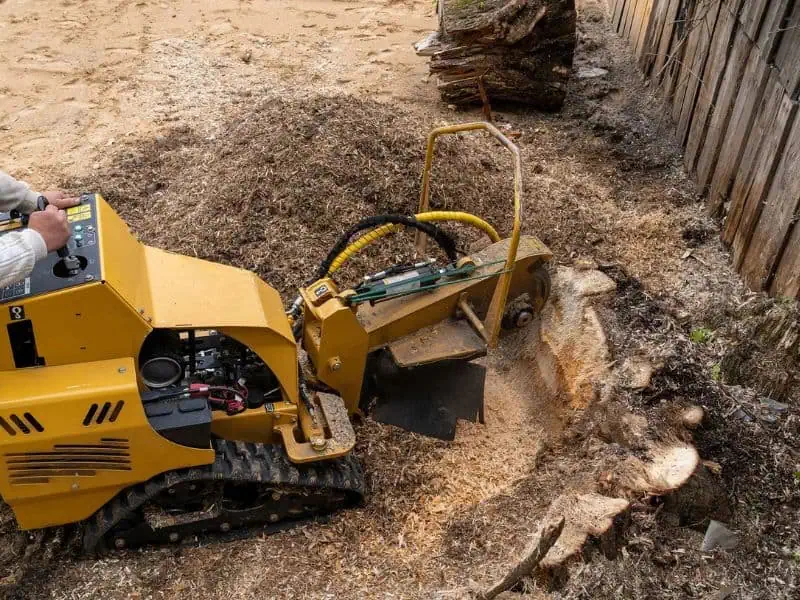 Professional stump removal in Bumpass VA with debris disposal and complete property cleanup