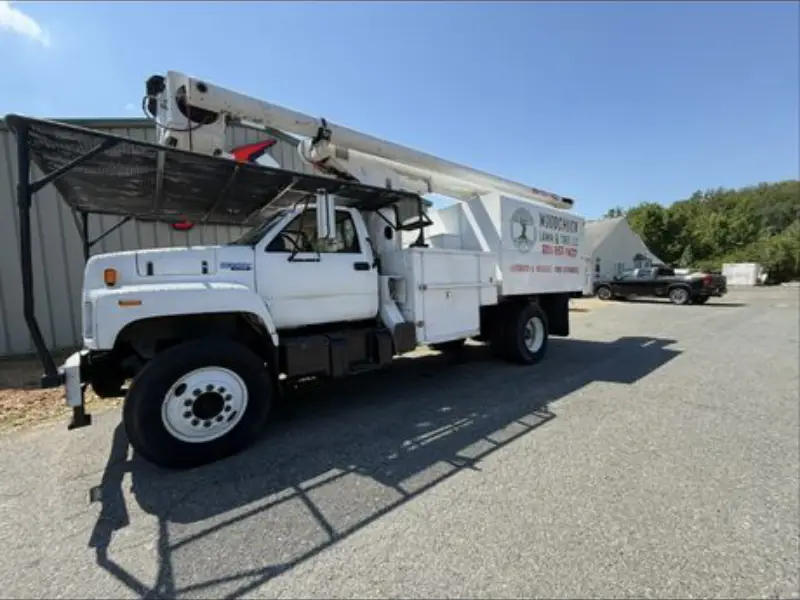 Tree Service in Ashland, VA | Woodchuck Lawn and Tree